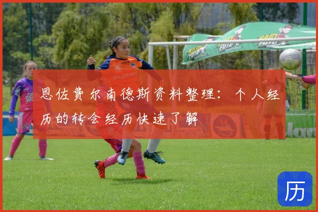 恩佐费尔南德斯资料整理：个人经历的转会经历快速了解