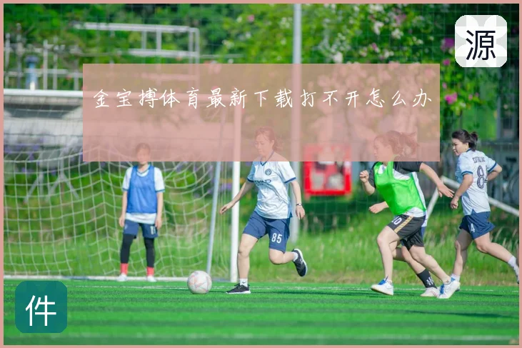 金宝搏体育最新下载打不开怎么办